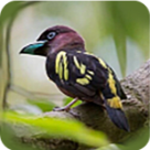 WWW,348av·COM网站APP
